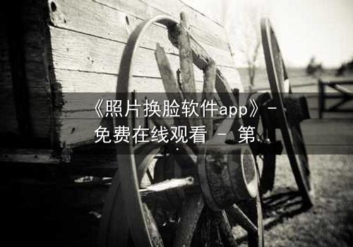 《照片换脸软件app》- 免费在线观看 - 第3集HD中字